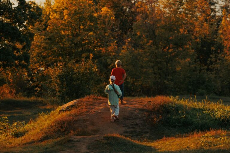 Kinder gehen gemeinsam durch einen herbstlichen Wald im warmen Abendlicht
